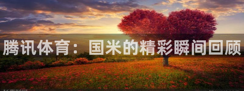 腾讯体育：国米的精彩瞬间回顾