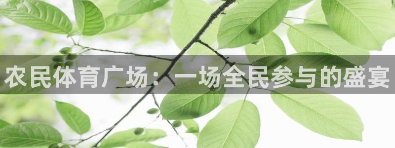 农民体育广场：一场全民参与的盛宴