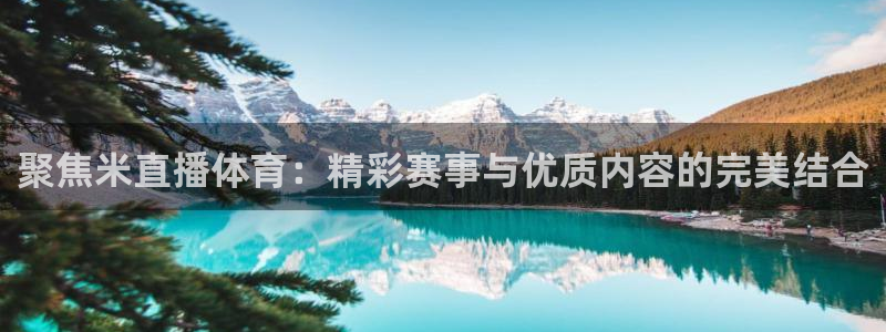 聚焦米直播体育：精彩赛事与优质内容的完美结合