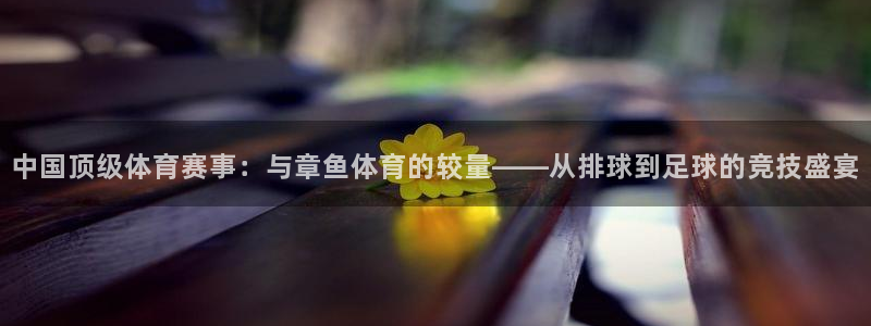 中国顶级体育赛事：与章鱼体育的较量——从排球到足球的竞技盛宴
