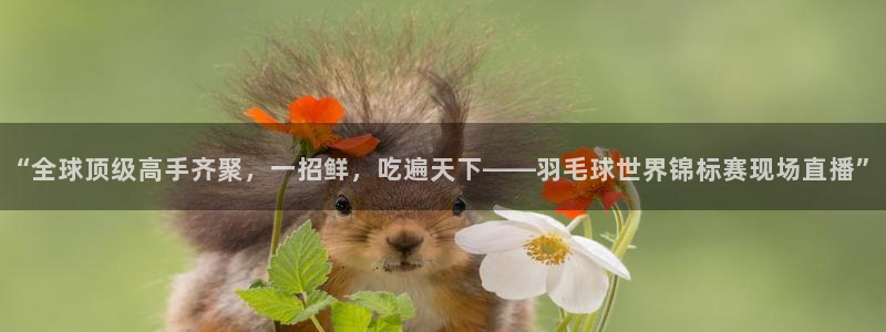 “全球顶级高手齐聚，一招鲜，吃遍天下——羽毛球世界锦标赛现场直播”