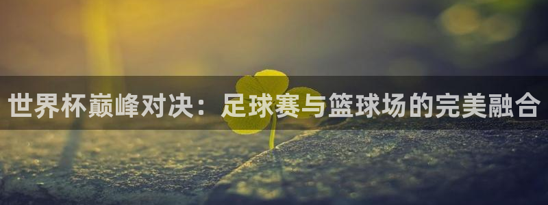 世界杯巅峰对决：足球赛与篮球场的完美融合