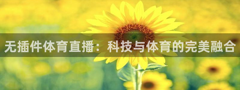 无插件体育直播：科技与体育的完美融合